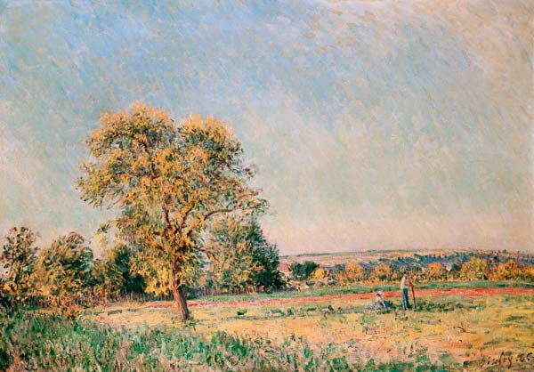 Summer landscape with a big tree. od Alfred Sisley
