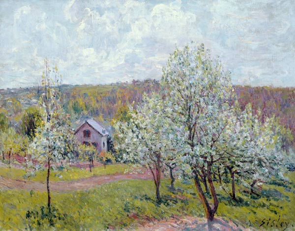 Spring in the Environs of Paris, Apple Blossom od Alfred Sisley