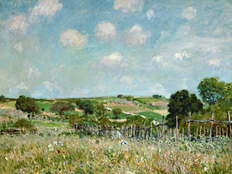 The Meadow. od Alfred Sisley