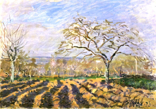 Fields or furrows od Alfred Sisley