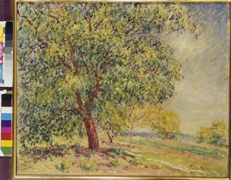 Walnut trees at Sablons. od Alfred Sisley
