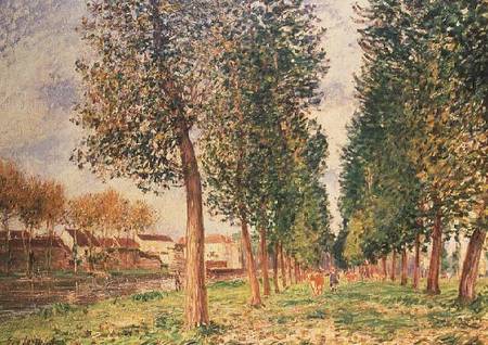 The Poplar Avenue at Moret, Cloudy Day, Morning od Alfred Sisley