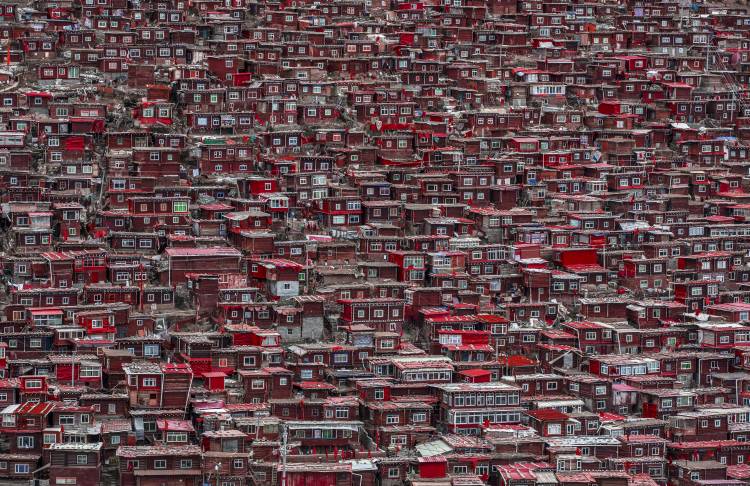 Red houses od Ali Al-Jazeri