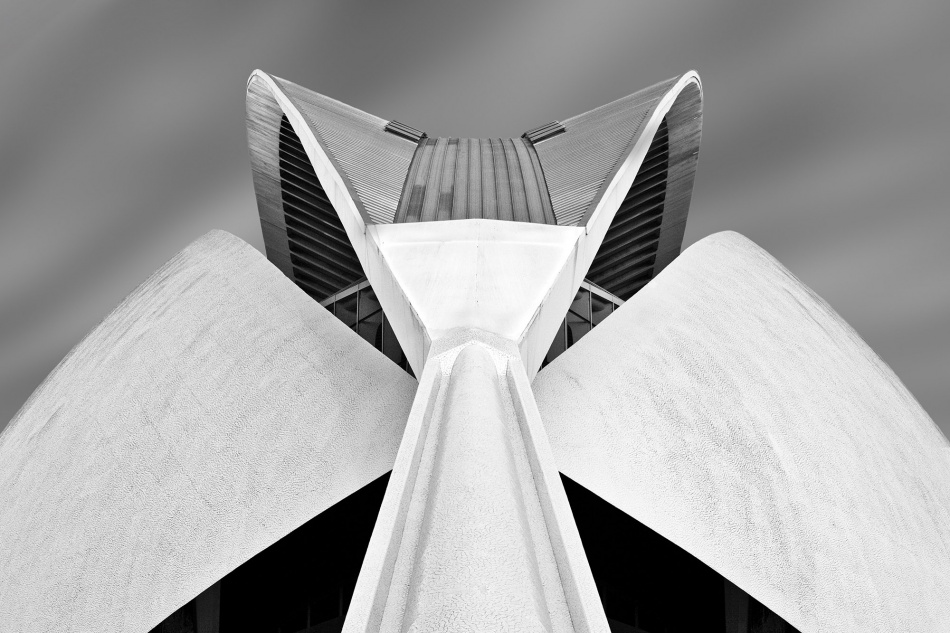 Calatrava od Alida Van Zaane