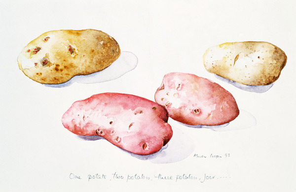 Potato Study, 1993 (w/c)  od Alison  Cooper