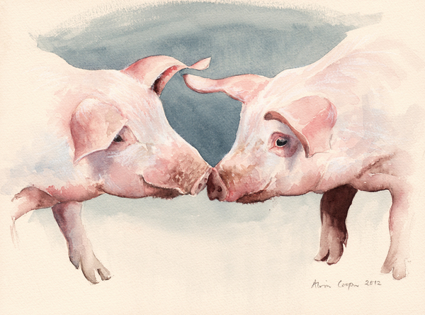Two Little Piggies od Alison  Cooper