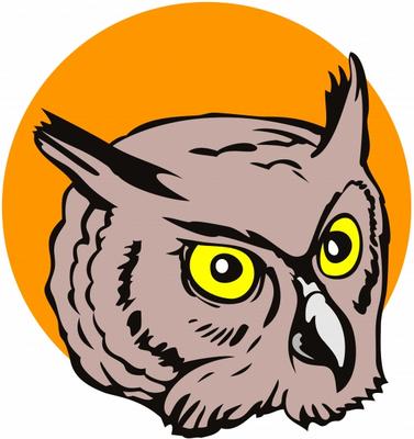 Great horned owl od Aloysius Patrimonio
