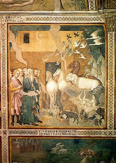 Noah Leading the Animals into the Ark od also Manfredi de Battilori Bartolo di Fredi