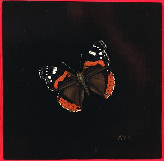 Red Admiral butterfly od  Amelia  Kleiser