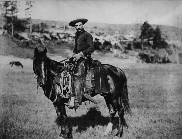 Cowboy riding a horse in Montana, USA, c. 1880 (b/w photo)  od American Photographer