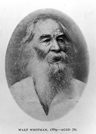 Walt Whitman, photographed in 1889 od American Photographer