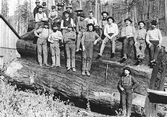 Woodcutters in California od American Photographer