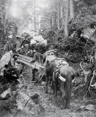 Climbing the Dyea Trail on the way to the Chilkoot Pass during the Klondike Gold Rush (1897-98) (b/w od American Photographer, (19th century)