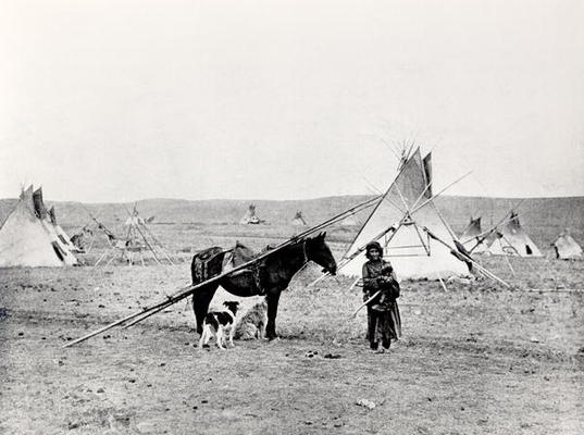Comanche Indian (b/w photo) od American Photographer, (19th century)