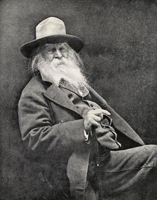Walt Whitman (1819-91) (b/w photo) od American Photographer, (19th century)