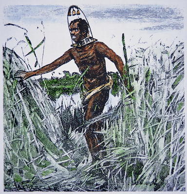 Runaway slave (coloured engraving) od American School
