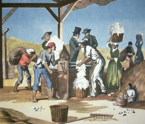 Eli Whitney's (1765-1825) Cotton Gin, operated by black slaves, 1793 (colour litho) od American School, (18th century)