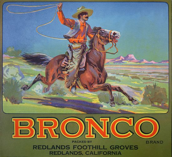 'Bronco Oranges' od American School, (20th century)