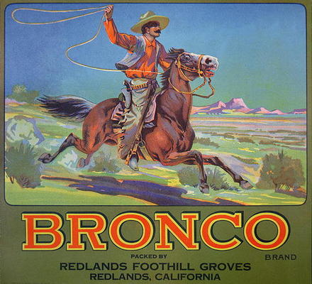 'Bronco Oranges', c.1900 (colour litho) od American School, (20th century)