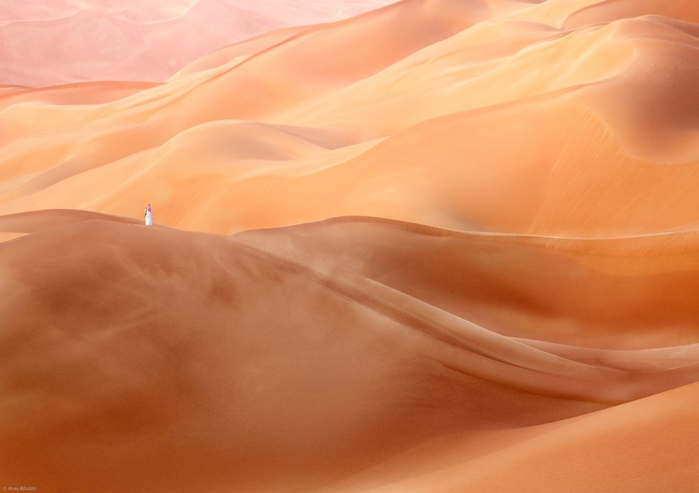 Desert Beauty od Anas AlSubhi