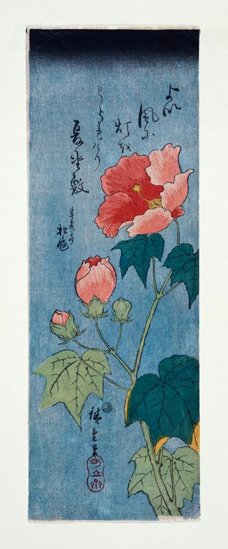 Blühender Mohn. od Ando oder Utagawa Hiroshige
