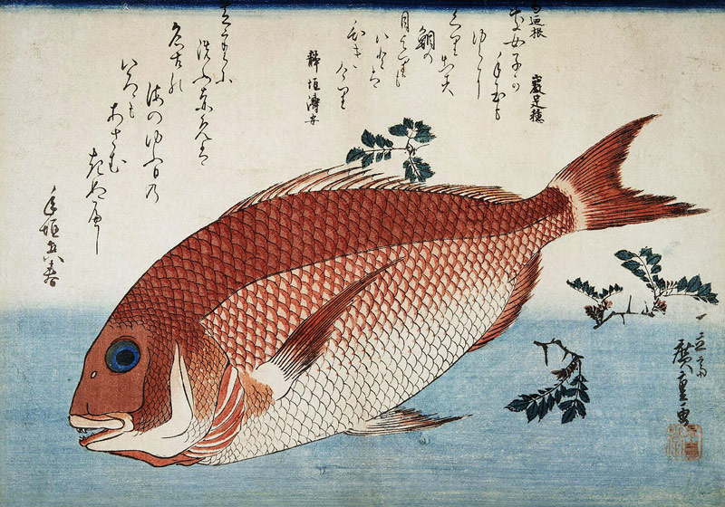 Red Sea Bream od Ando oder Utagawa Hiroshige