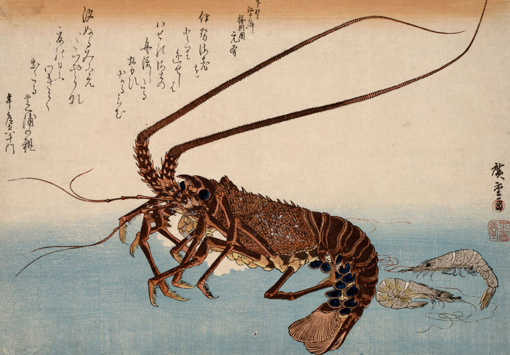 Lobster and Shrimps od Ando oder Utagawa Hiroshige