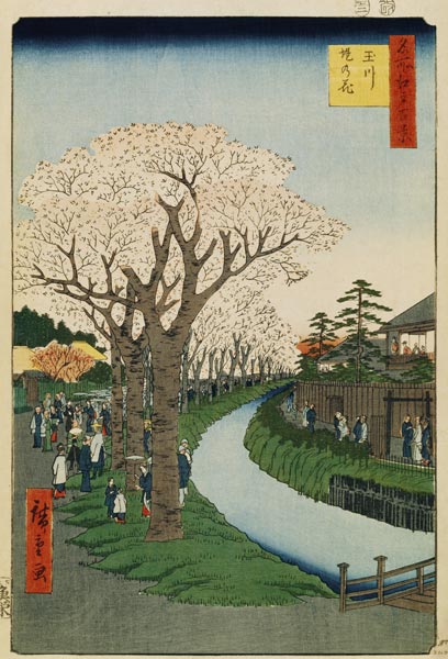 Cherry Blossoms on the Banks of the Tama River (One Hundred Famous Views of Edo) od Ando oder Utagawa Hiroshige