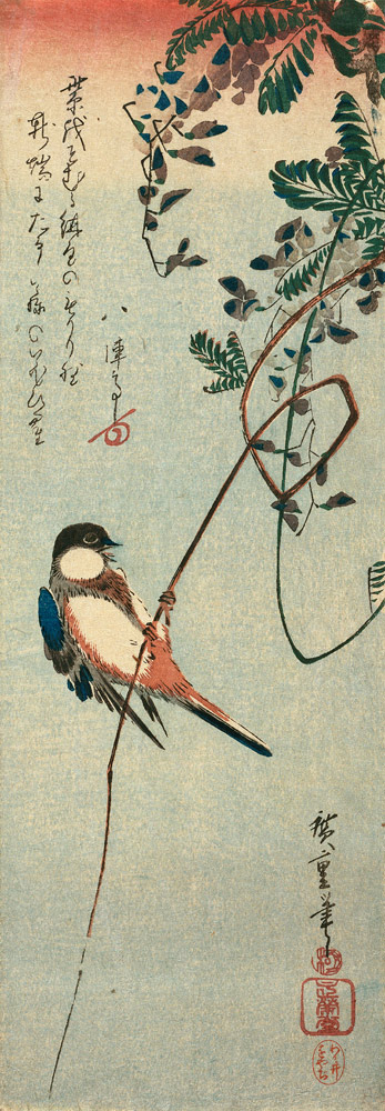 Schwalbe auf einem Ast einer Glyzinie sitzend. od Ando oder Utagawa Hiroshige