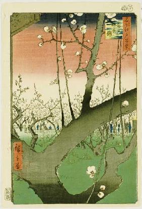 Garten mit Pflaumenbäumen. Aus der Serie: Hundert Ansichten von berühmten Orten in Edo.