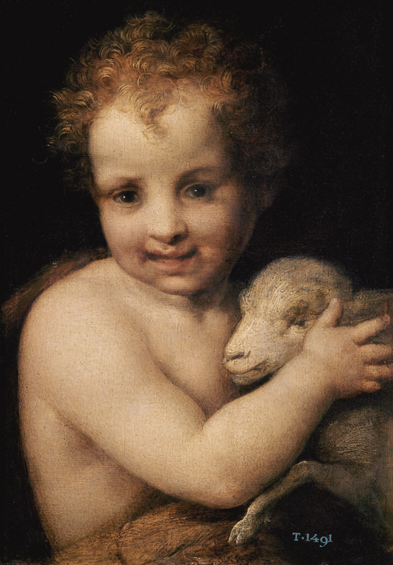 John the Baptist as child od Andrea del Sarto