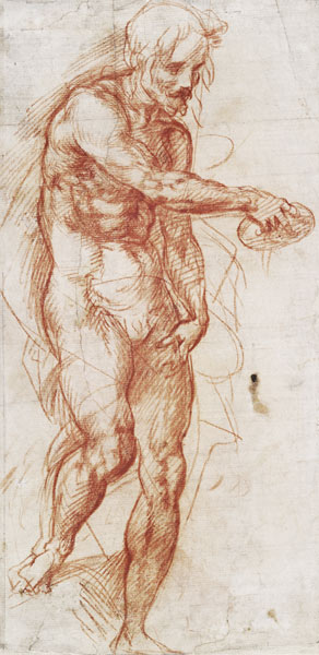 Saint John the Baptist (Study) od Andrea del Sarto