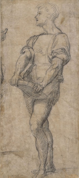 Standing youth holding a book od Andrea del Sarto