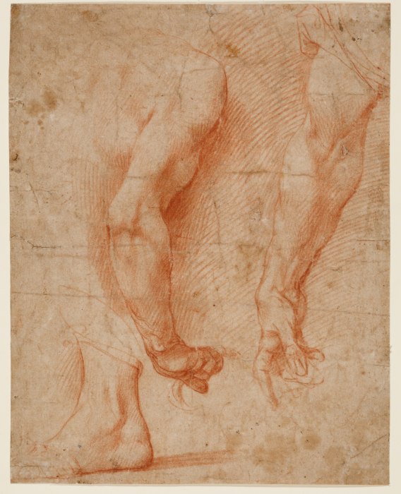 Studien von zwei Armen und eines Fußes od Andrea del Sarto