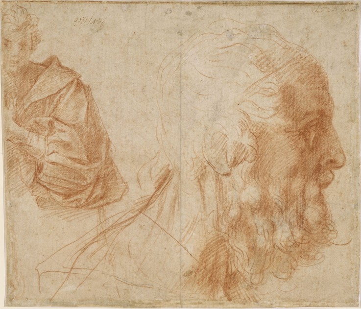 A youth and the head of an old man (Homer?). Study od Andrea del Sarto
