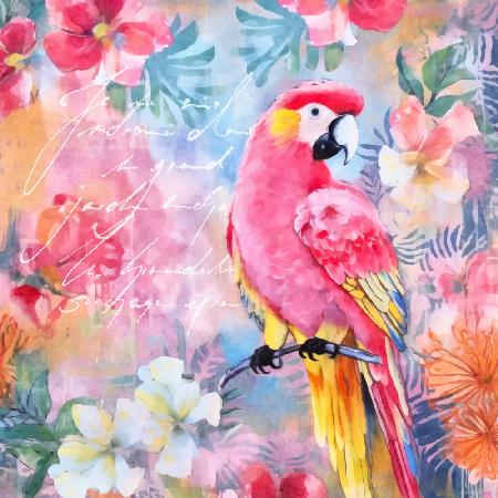 Parrots Pink Paradise