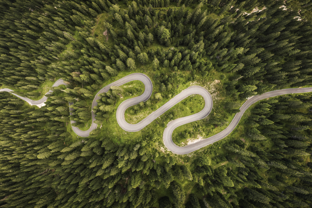 Snake Road od Andrea Maestosi