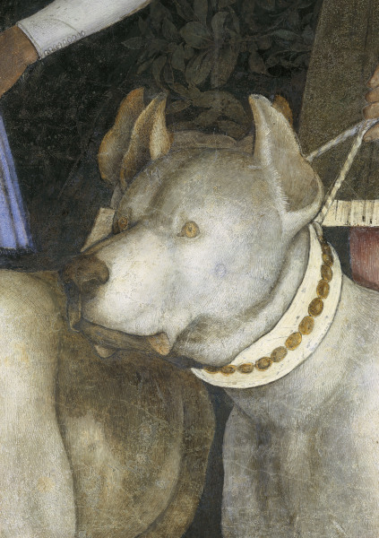 Camera d.Sposi, Dog od Andrea Mantegna