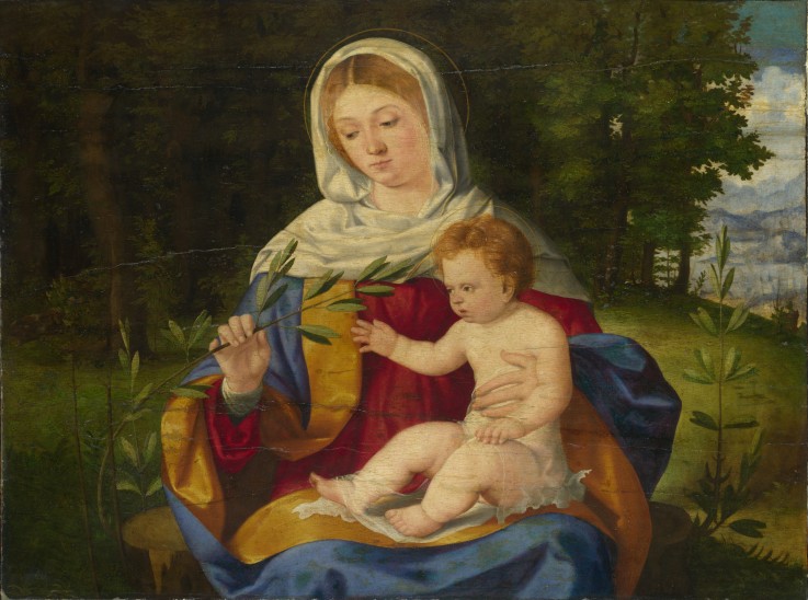 The Virgin and Child with a Shoot of Olive od Andrea Previtali