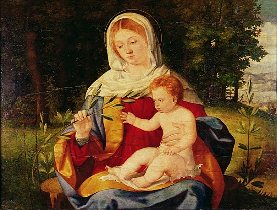 The Virgin and Child with a shoot of Olive, c.1515 od Andrea Previtali