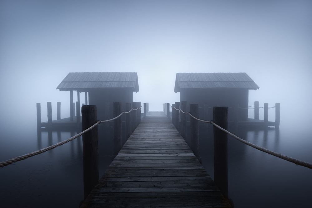 Alone in the fog od Andrea Zappia