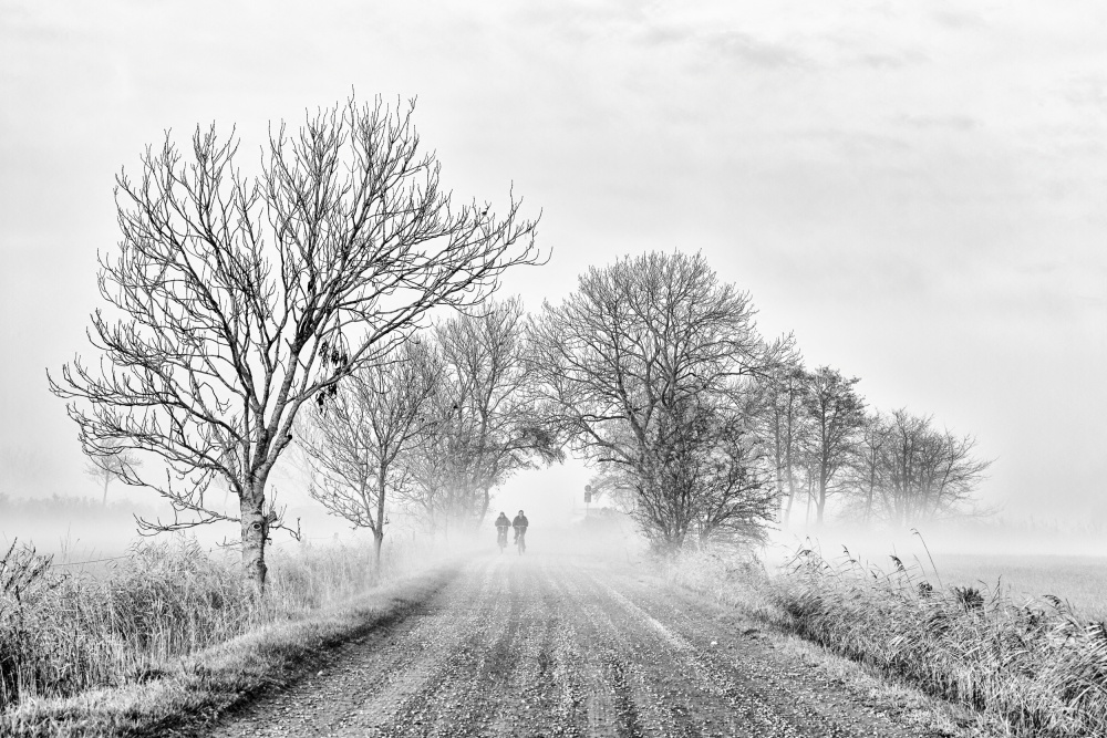 Foggy morning od Andreas Klesse