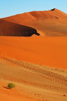 Sossusvlei Namibia od Andreas Pollok