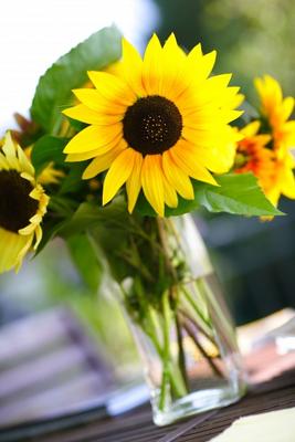 Sonnenblumen od Andreas Pollok