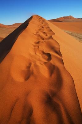 Spuren im Sand od Andreas Pollok