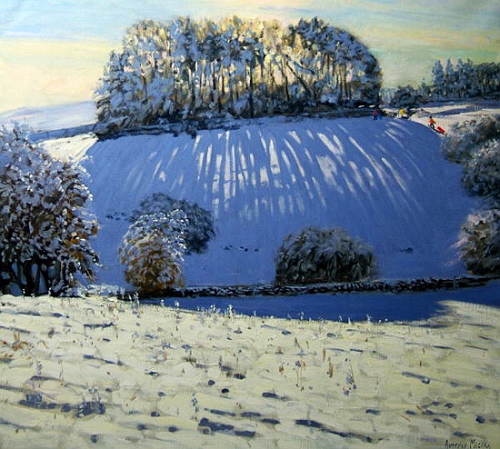 Field of shadows, near Youlgrave, Derbyshire od Andrew  Macara