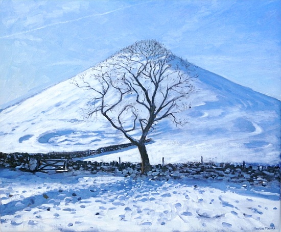 Hill and Tree, Derbyshire od Andrew  Macara
