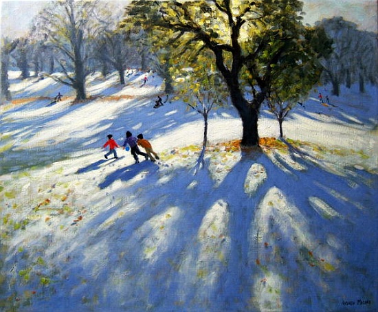 Markeaton Park, early snow od Andrew  Macara