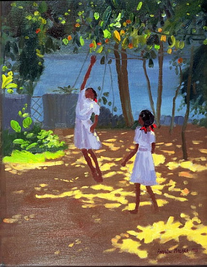 Reaching for Oranges, Bentota, Sri Lanka od Andrew  Macara