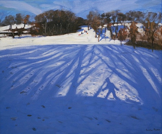 Shadow of Sledger od Andrew  Macara
